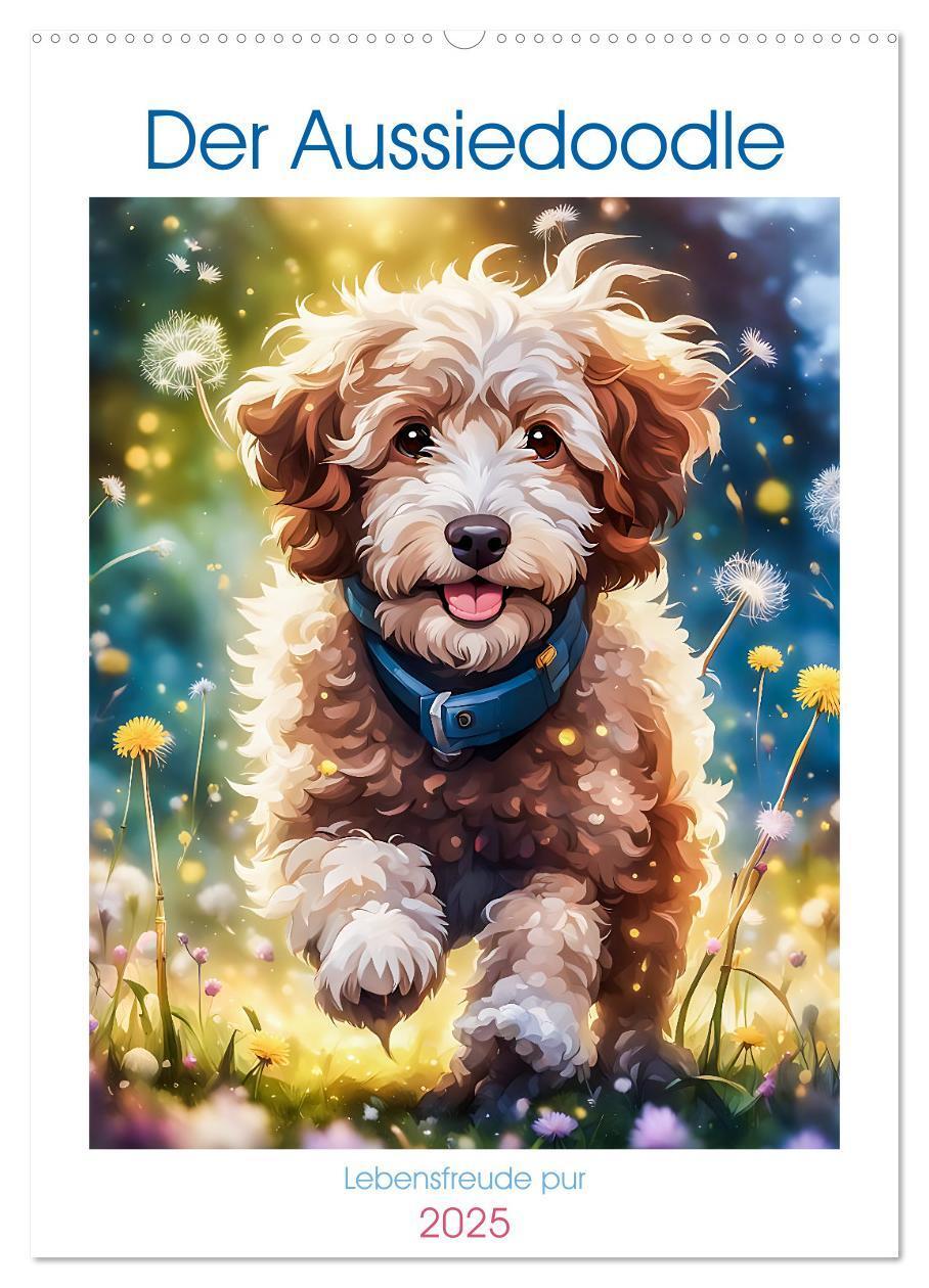 Cover: 9783383807138 | Der Aussiedoodle - Lebensfreude pur (Wandkalender 2025 DIN A2...