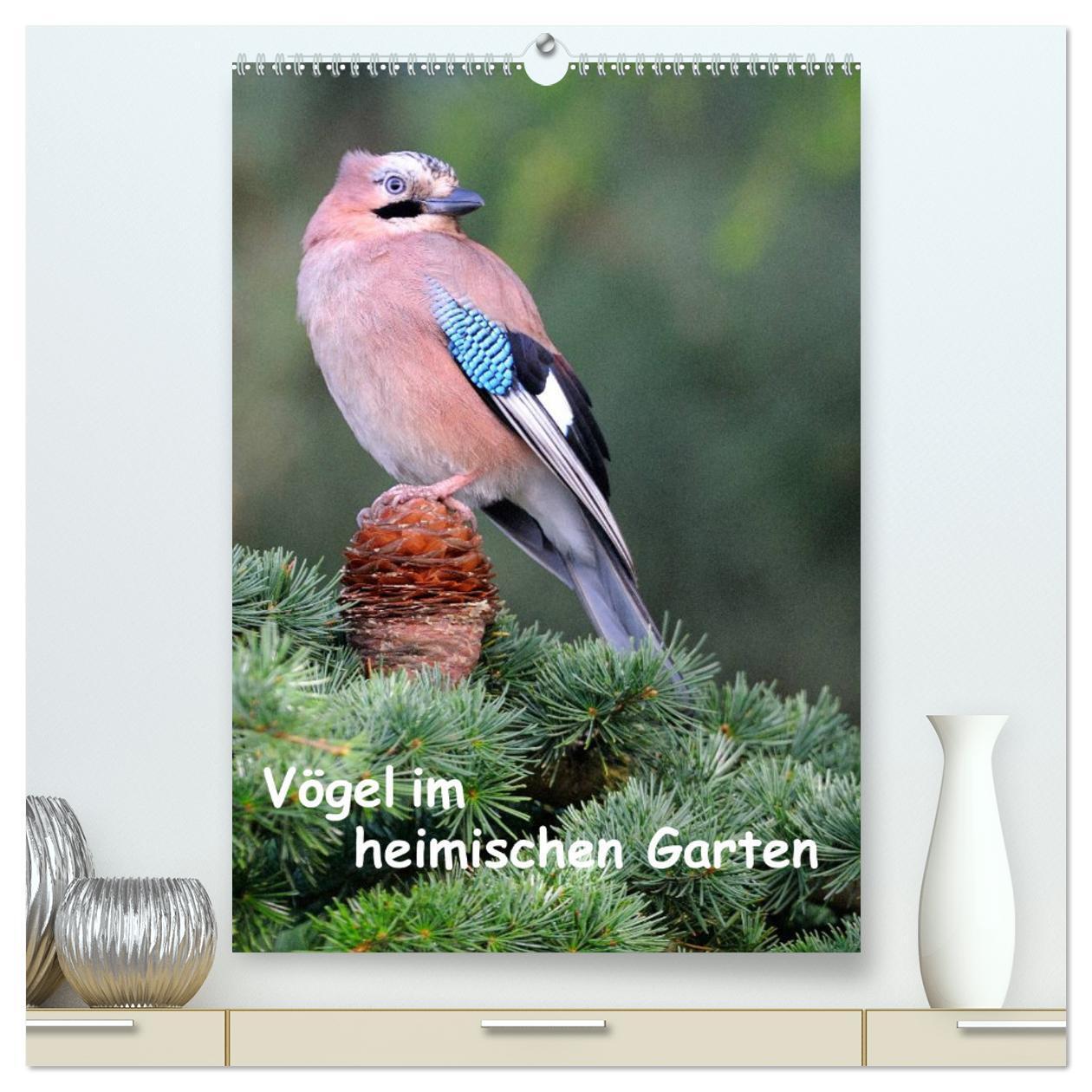 Cover: 9783457019573 | Vögel im heimischen Garten (hochwertiger Premium Wandkalender 2025...