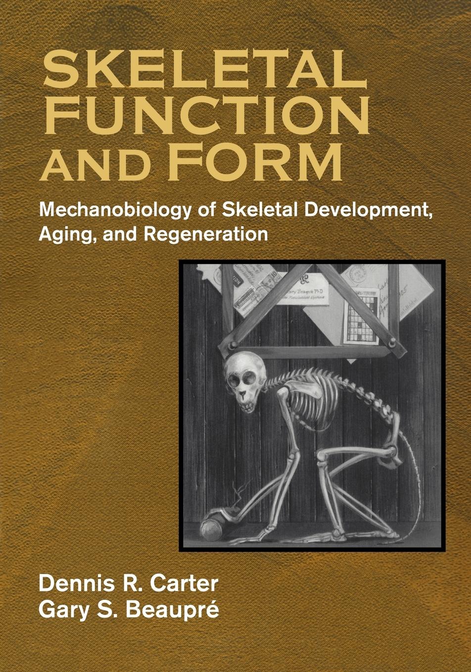 Cover: 9780521714754 | Skeletal Function and Form | Dennis R. Carter (u. a.) | Taschenbuch