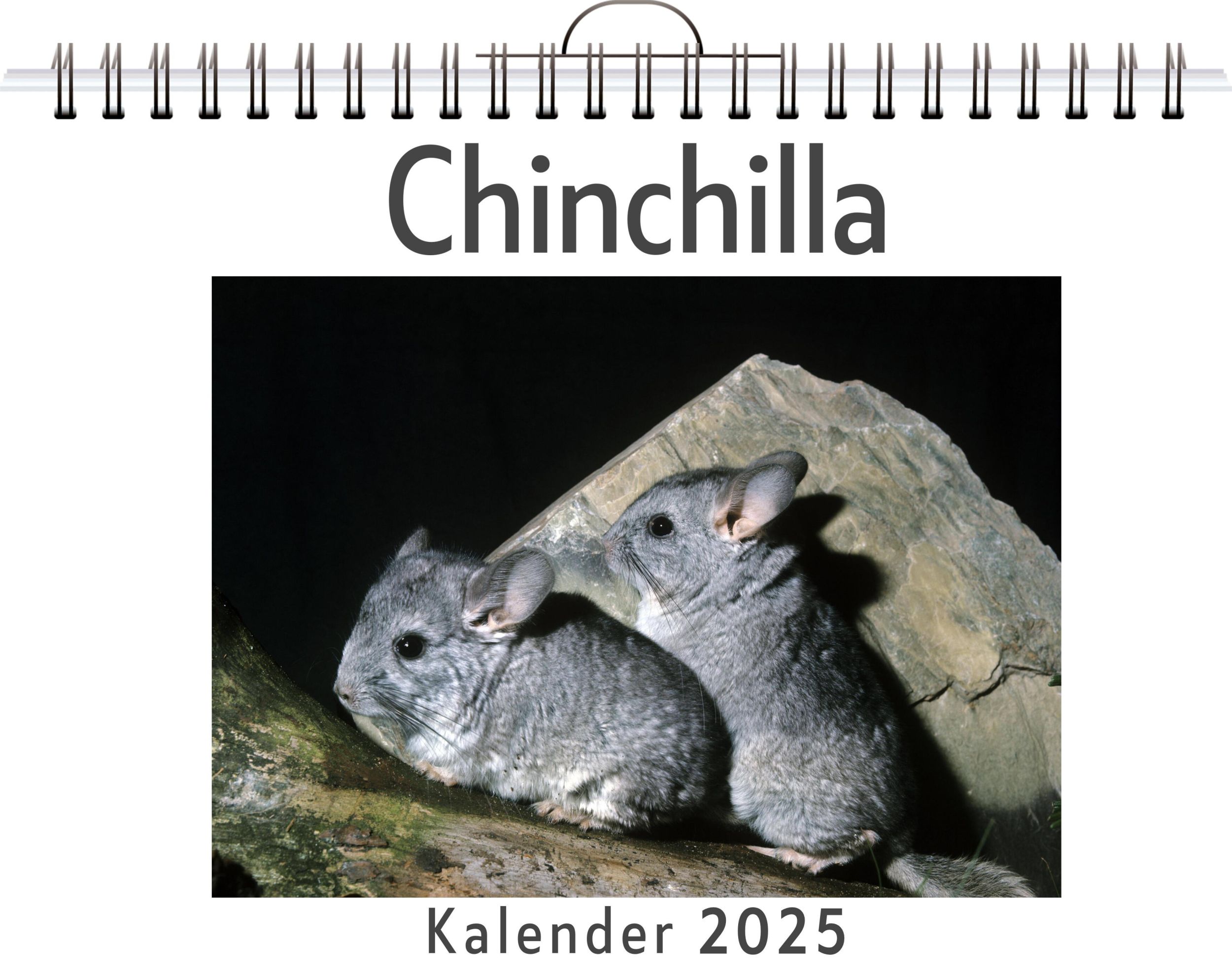 Cover: 9783759132321 | Chinchilla | Noah Richter | Kalender | Kalender | 14 S. | Deutsch