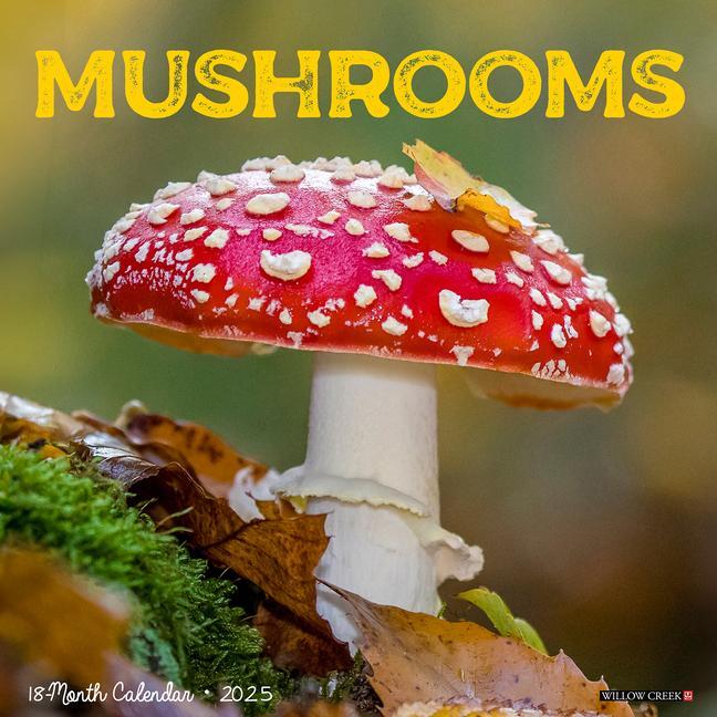 Cover: 9781549246517 | Mushroom (the Art of The) 2025 12 X 12 Wall Calendar | Press | 2025