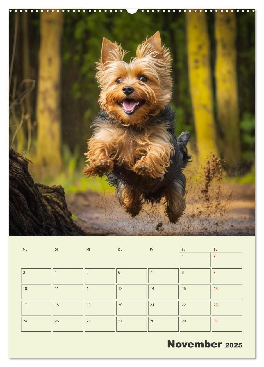 Bild: 9783435874200 | Yorkshire Terrier. Fröhliche Energiebündel in Aktion (Wandkalender...