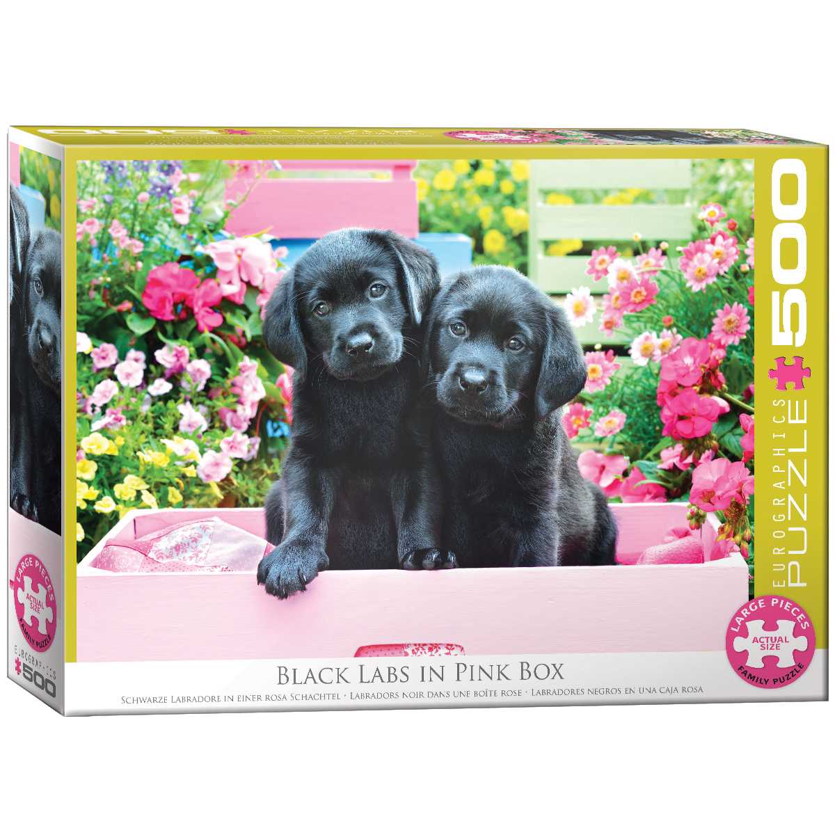 Cover: 628136154628 | Black Labs in Pink Box | Puzzle | Deutsch | 2021 | Eurographics s.r.o