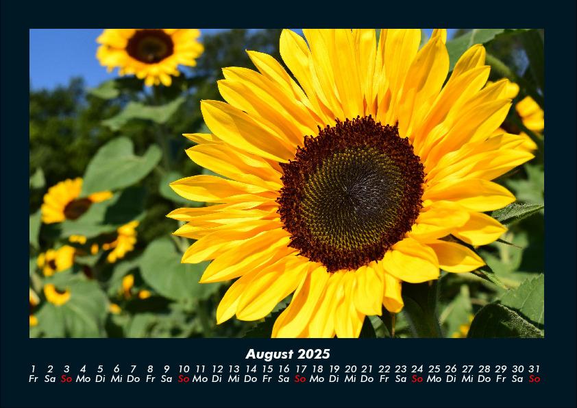 Bild: 9783755992325 | Blumenträume 2025 Fotokalender DIN A4 | Tobias Becker | Kalender