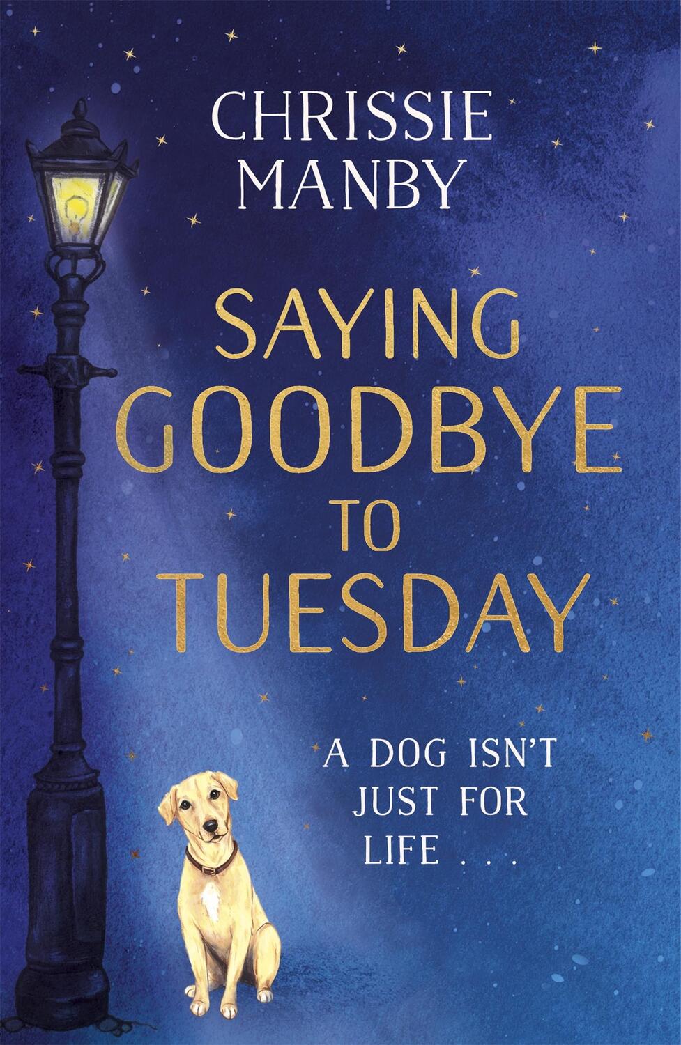 Cover: 9781473682979 | Saying Goodbye to Tuesday | Chrissie Manby | Taschenbuch | Englisch