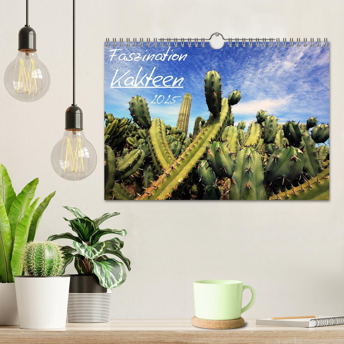 Bild: 9783435806508 | Faszination Kakteen (Wandkalender 2025 DIN A4 quer), CALVENDO...