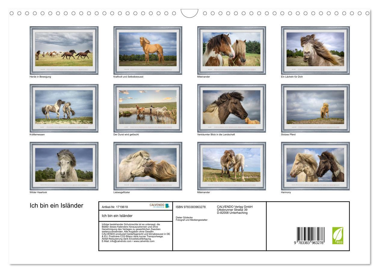 Bild: 9783383963278 | Ich bin ein Isländer (Wandkalender 2025 DIN A3 quer), CALVENDO...