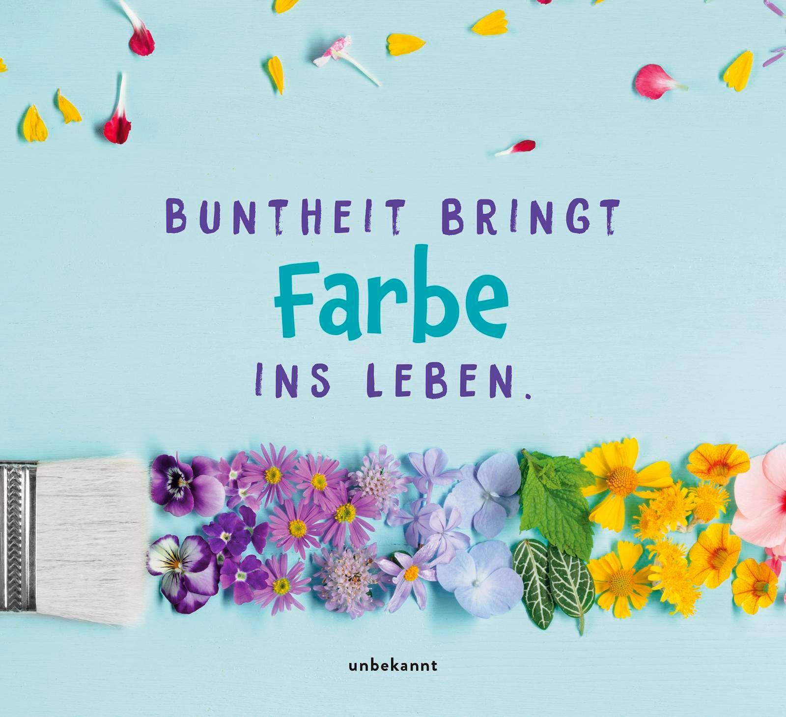 Bild: 9783848502707 | Kunterbunte Glücksgedanken | Groh Verlag | Taschenbuch | 144 S. | 2024