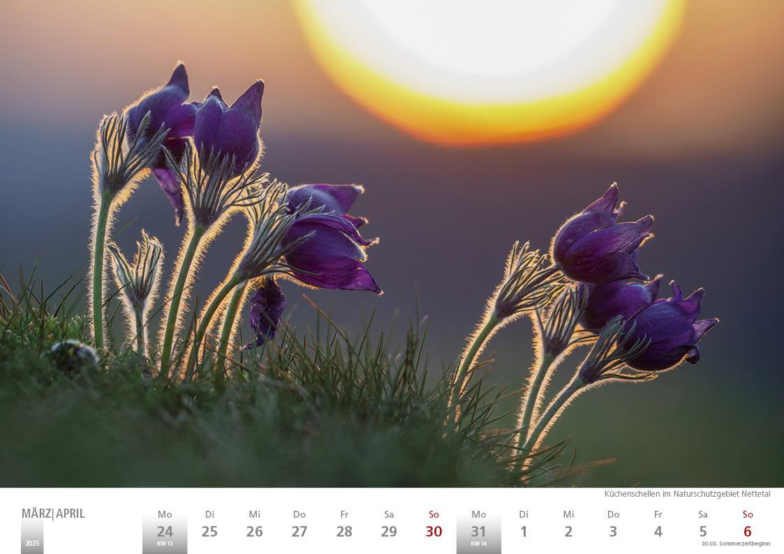 Bild: 9783965352056 | Die Eifel in Wort und Bild 2025 Bildkalender A4 quer, 28 Bilder auf...