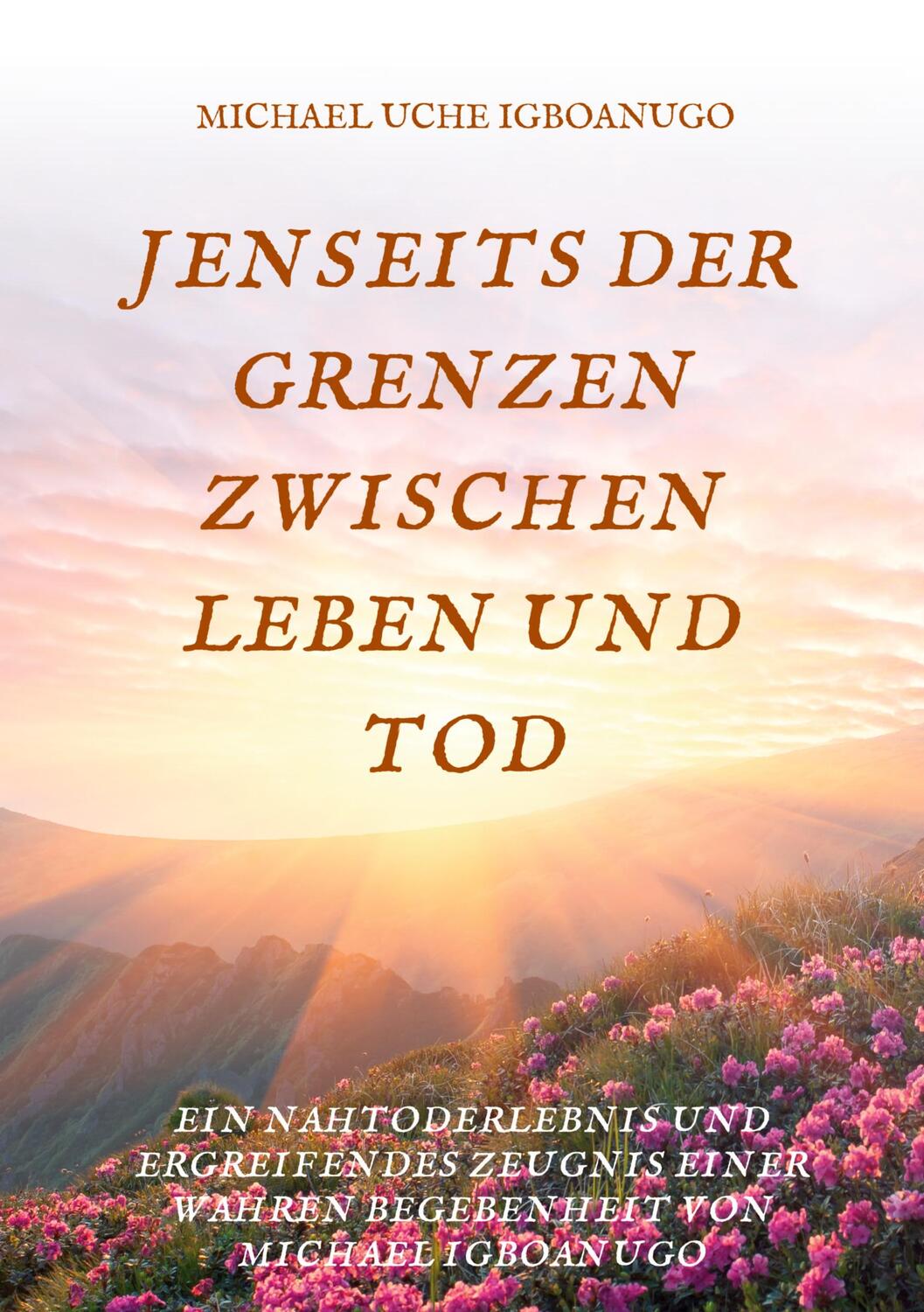 Cover: 9783743909717 | JENSEITS DER GRENZEN ZWISCHEN LEBEN UND TOD | Michael Uche Igboanugo