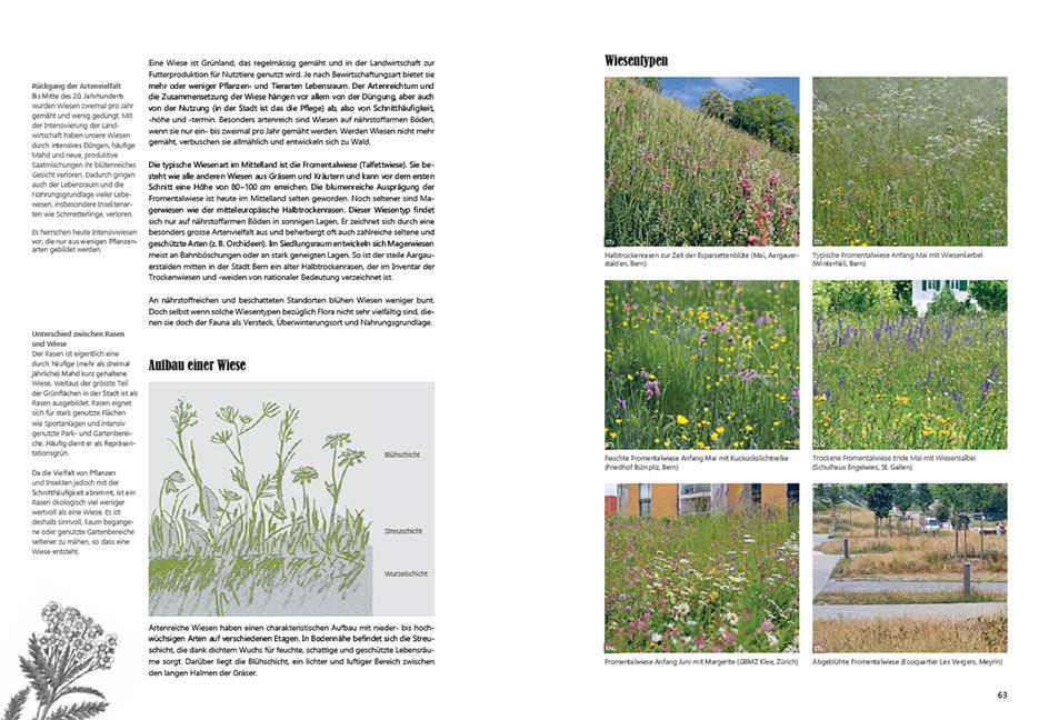 Bild: 9783258083285 | Praxishandbuch Stadtnatur | Sabine Tschäppeler (u. a.) | Taschenbuch