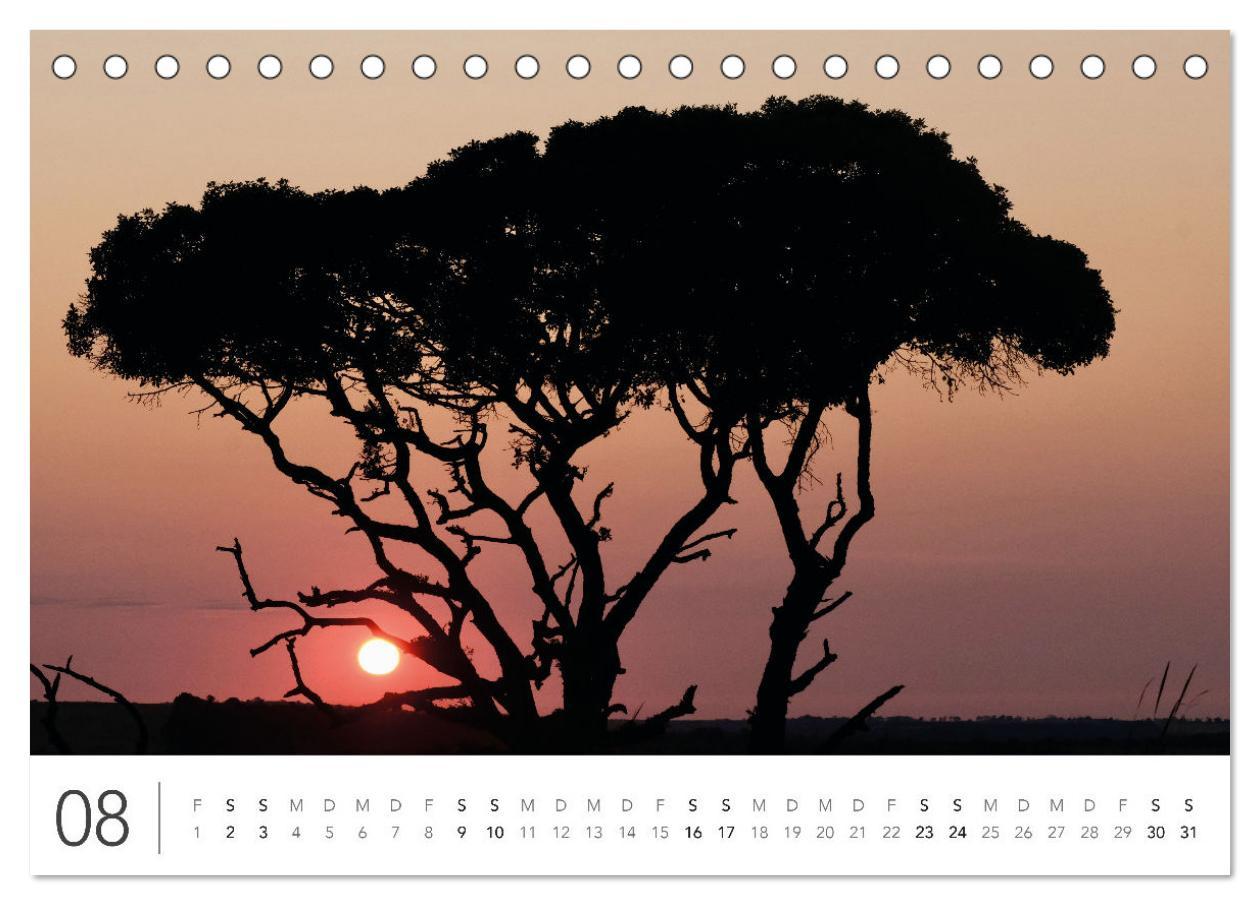 Bild: 9783383811111 | Südafrika Garden Route (Tischkalender 2025 DIN A5 quer), CALVENDO...