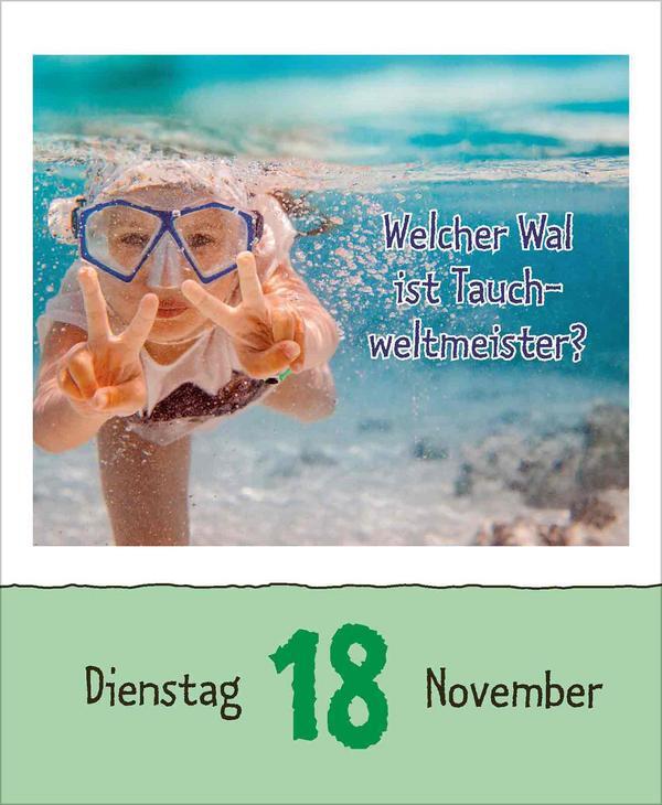 Bild: 9783731877479 | Wie faul ist das Faultier? 2025 | Verlag Korsch | Kalender | 328 S.