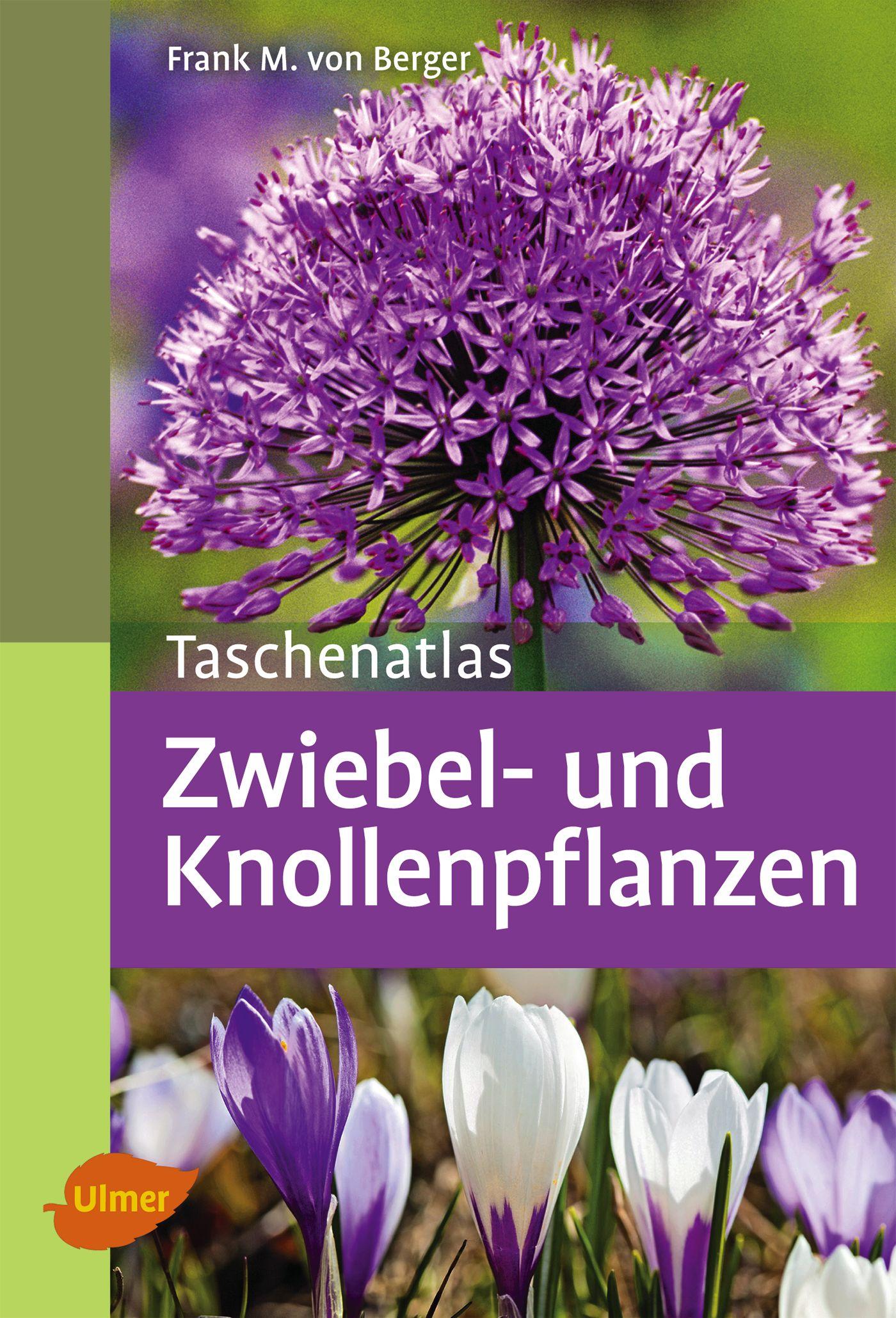 Cover: 9783800180653 | Taschenatlas Zwiebel- und Knollenpflanzen | Frank M. von Berger | Buch