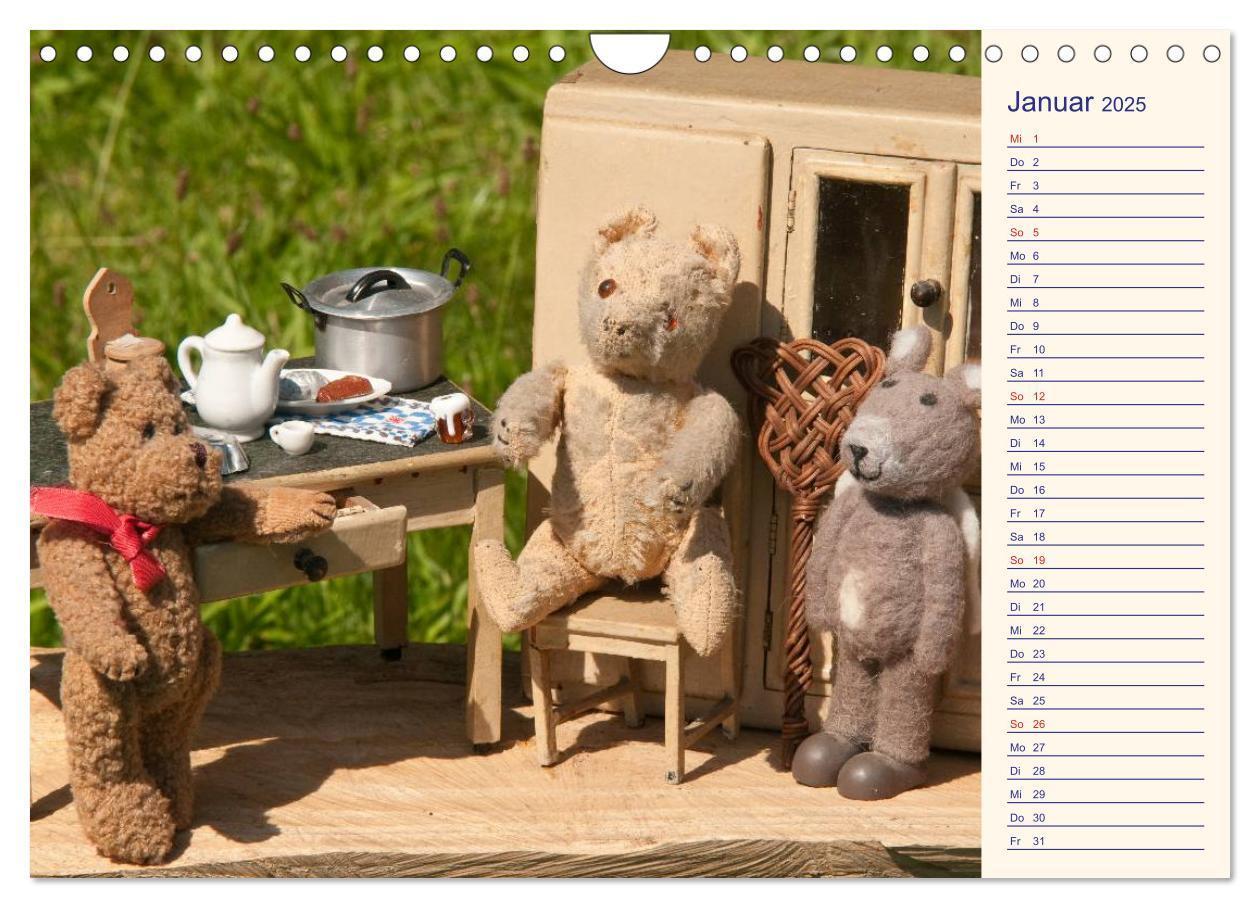 Bild: 9783435508235 | Geliebte Bären - Teddys (Wandkalender 2025 DIN A4 quer), CALVENDO...