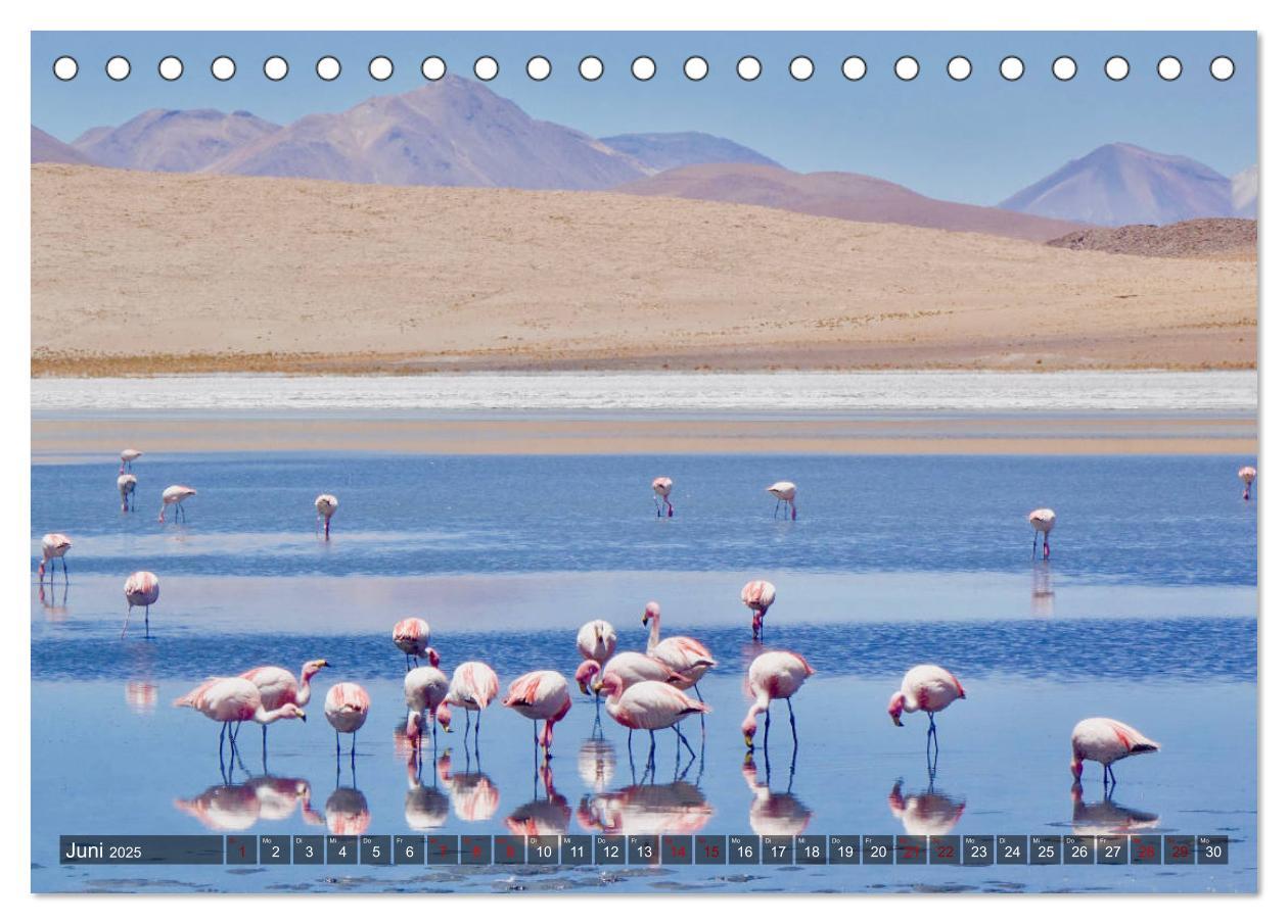 Bild: 9783435339617 | Peru Bolivien Chile (Tischkalender 2025 DIN A5 quer), CALVENDO...