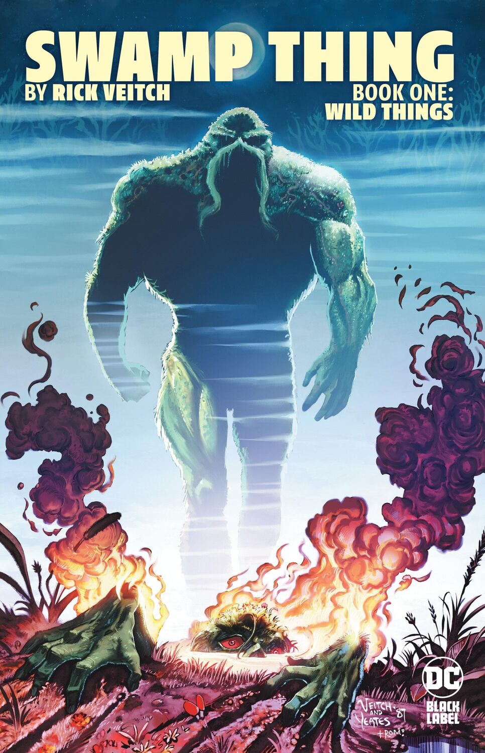 Cover: 9781779528117 | Swamp Thing by Rick Veitch Book One: Wild Things | Rick Veitch | Buch