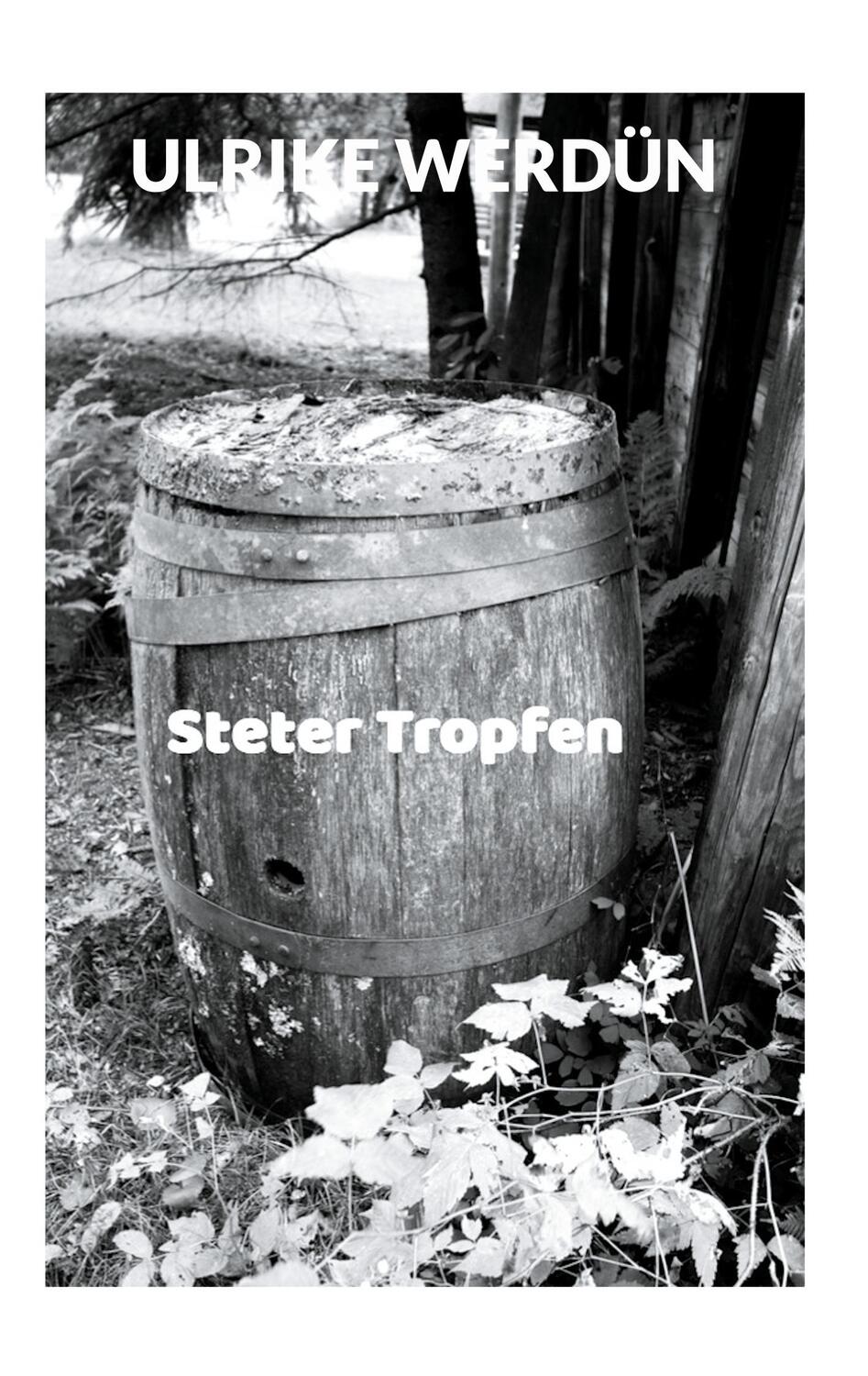 Cover: 9783759719744 | Steter Tropfen | Ulrike Werdün | Taschenbuch | Paperback | 400 S.