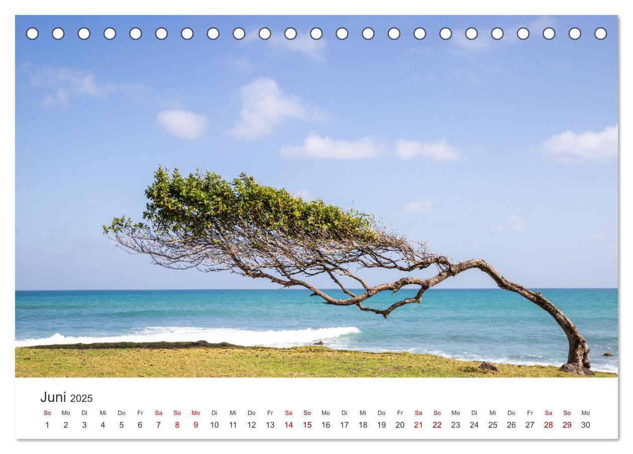 Bild: 9783383791536 | Guadeloupe, Trauminsel der Französische Antillen (Tischkalender...