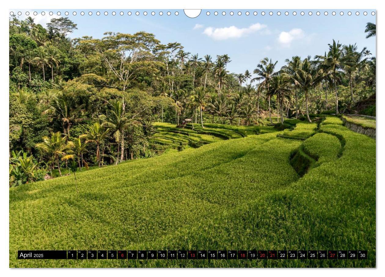 Bild: 9783435496556 | Ubud - Bali (Wandkalender 2025 DIN A3 quer), CALVENDO Monatskalender