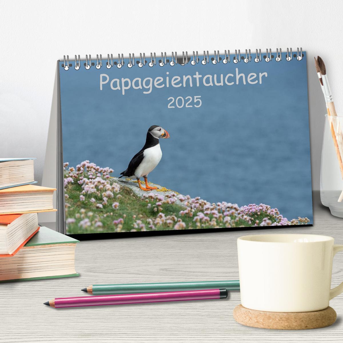 Bild: 9783435714483 | Papageientaucher 2025 (Tischkalender 2025 DIN A5 quer), CALVENDO...