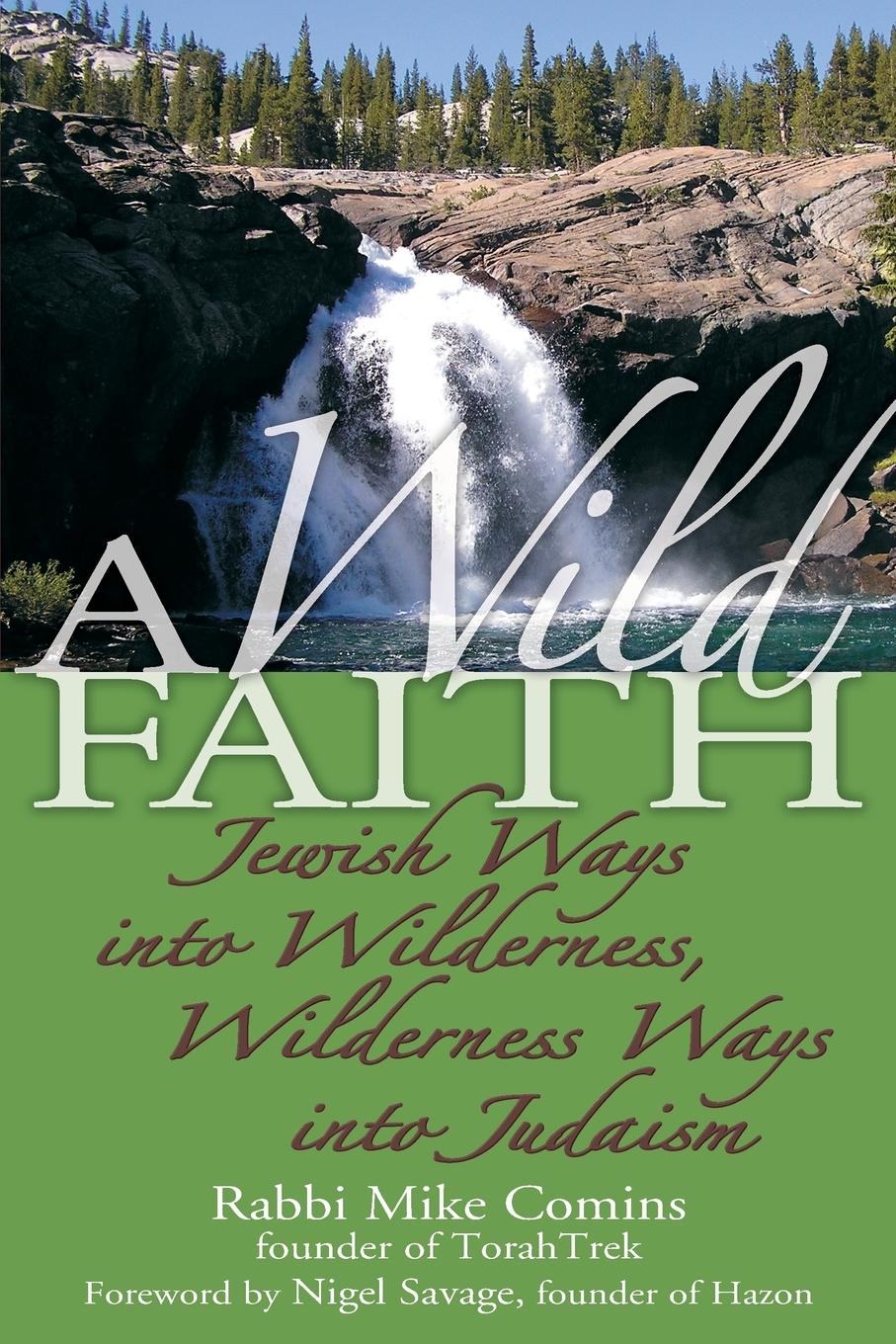 Cover: 9781580233163 | A Wild Faith | Rabbi Mike Comins | Taschenbuch | Paperback | Englisch