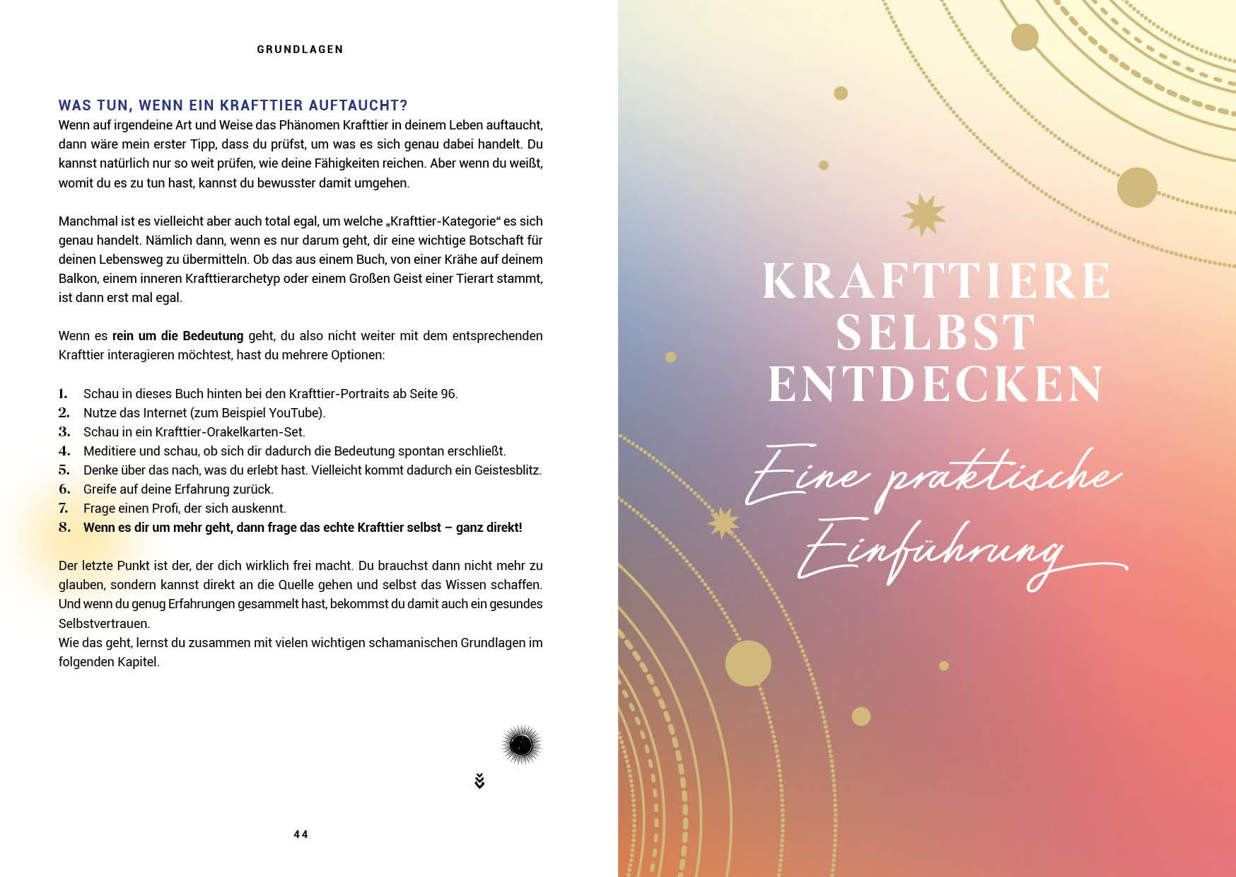 Bild: 9783745913552 | Praxisbuch Schamanische Krafttiere - Entdecke deine Seelenbegleiter