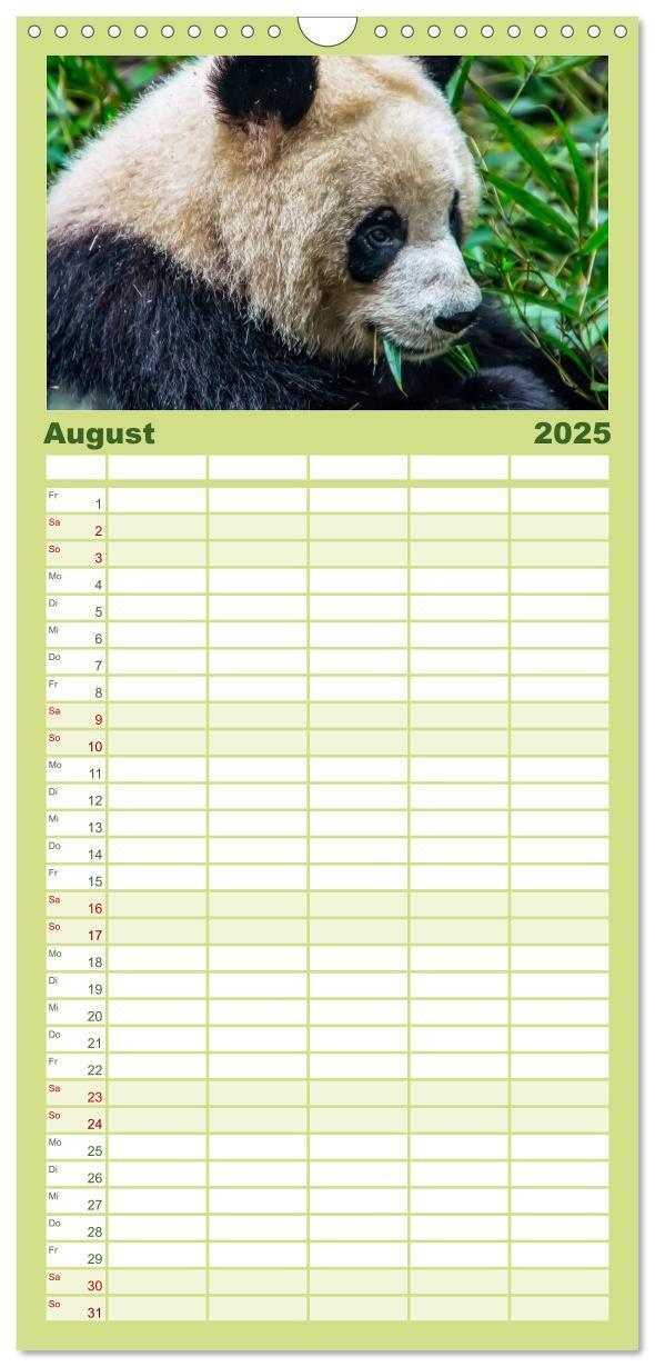 Bild: 9783457116166 | Familienplaner 2025 - Niedlicher Panda mit 5 Spalten (Wandkalender,...