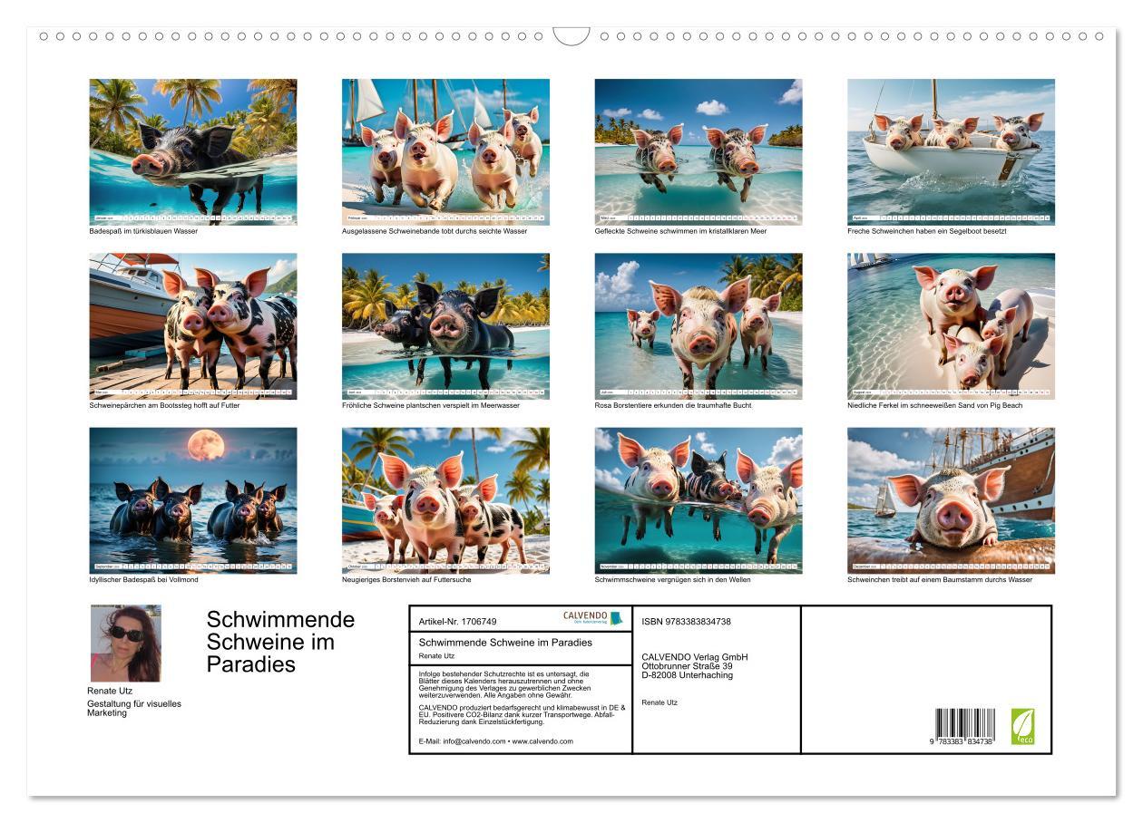 Bild: 9783383834738 | Schwimmende Schweine im Paradies (Wandkalender 2025 DIN A2 quer),...