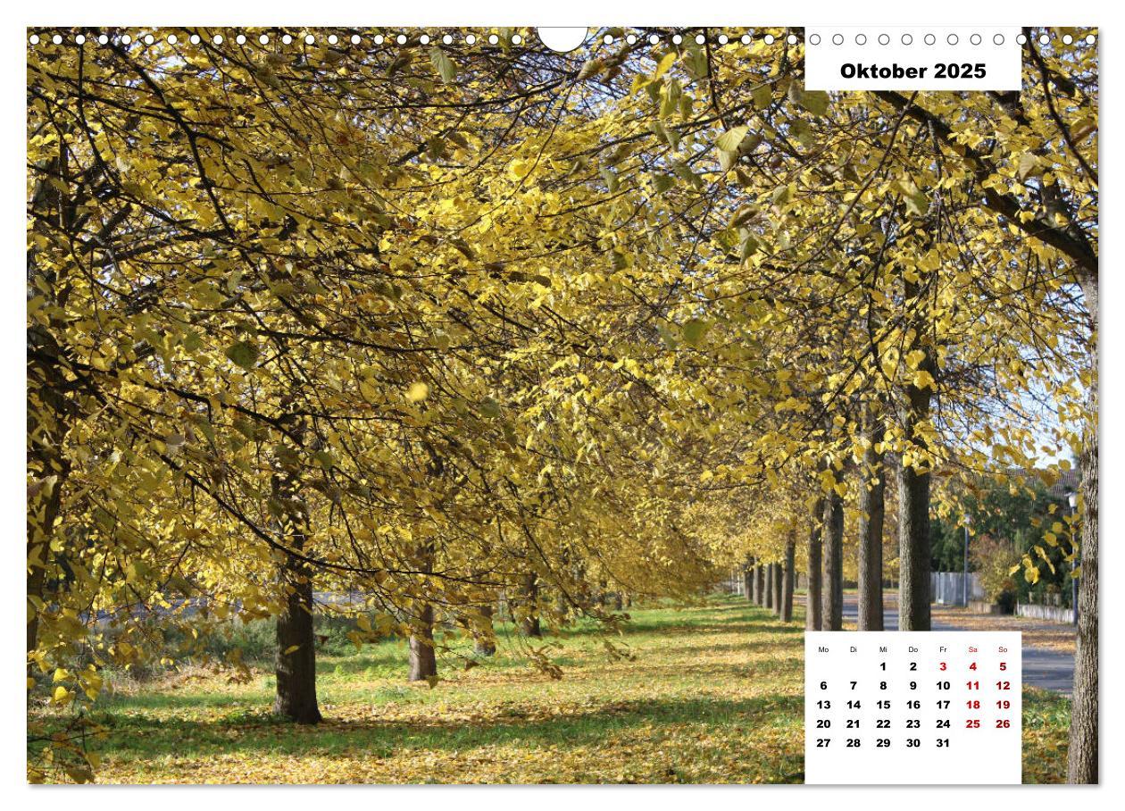 Bild: 9783435354900 | Vorsfelde (Wandkalender 2025 DIN A3 quer), CALVENDO Monatskalender