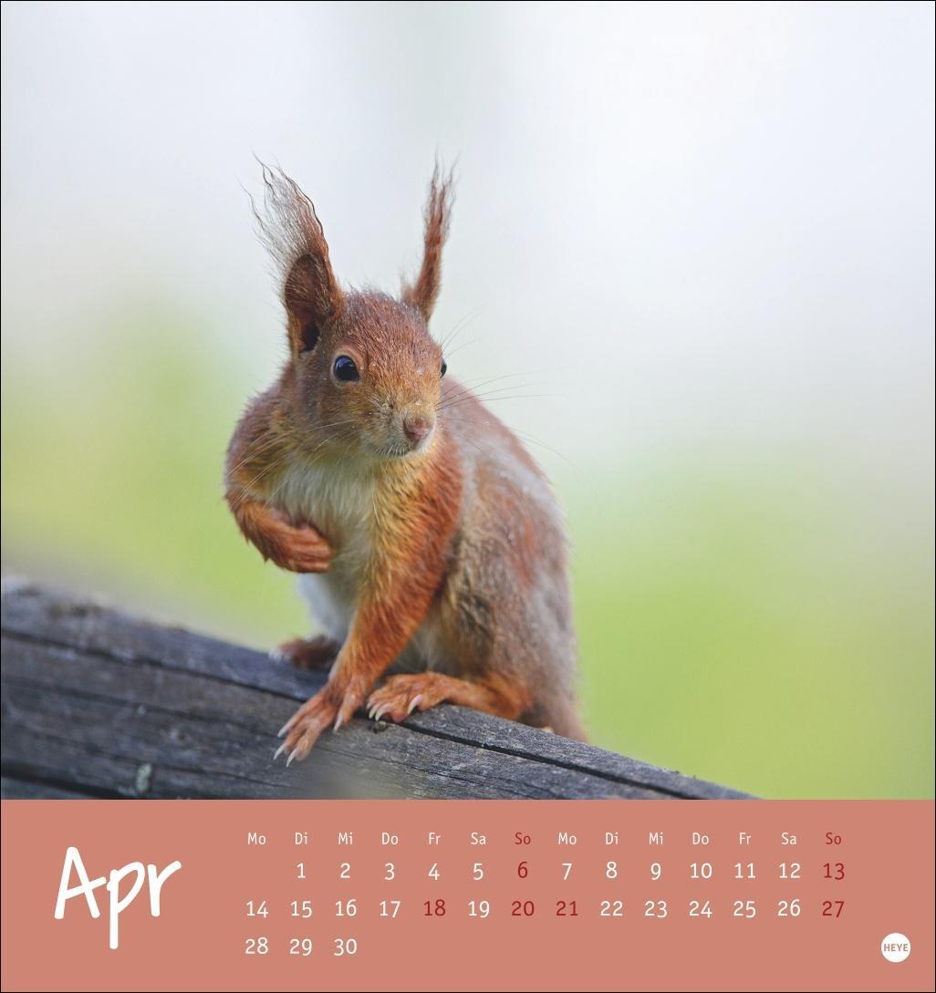 Bild: 9783756407170 | Klein, aber oho! Postkartenkalender 2025 | Kalender | Spiralbindung