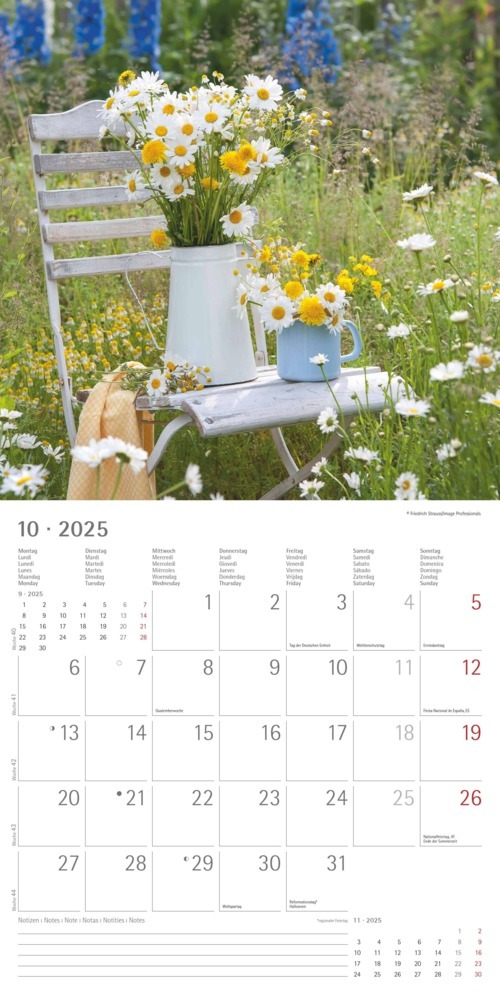 Bild: 4251732340636 | Garden &amp; Decoration 2025 - Broschürenkalender 30x30 cm (30x60...