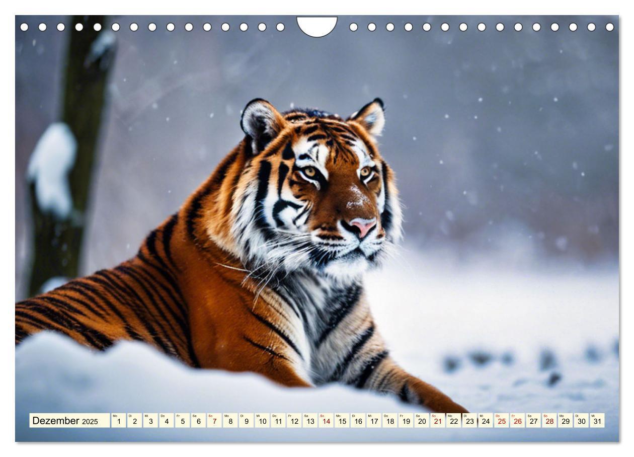 Bild: 9783383814105 | Tiger ganz nah (Wandkalender 2025 DIN A4 quer), CALVENDO...