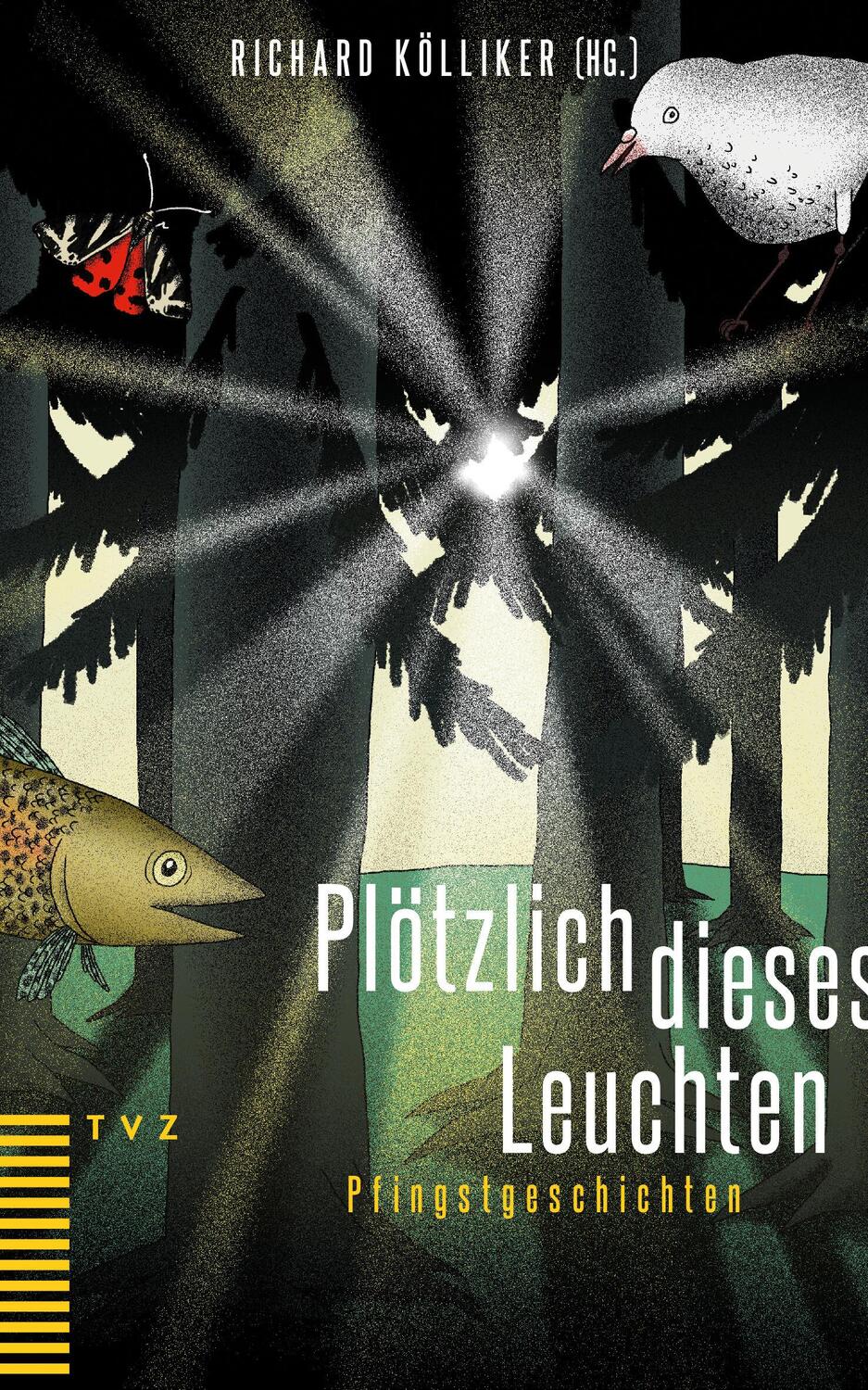 Cover: 9783290186104 | Plötzlich dieses Leuchten | Pfingstgeschichten | Richard Kölliker