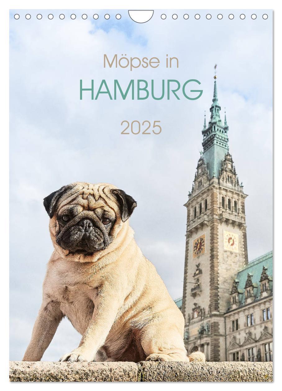 Cover: 9783435986729 | Möpse in Hamburg (Wandkalender 2025 DIN A4 hoch), CALVENDO...