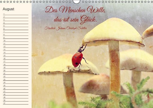 Bild: 9783660485721 | Spruchreifer Geburtstagskalender (Wandkalender immerwährend DIN A3...