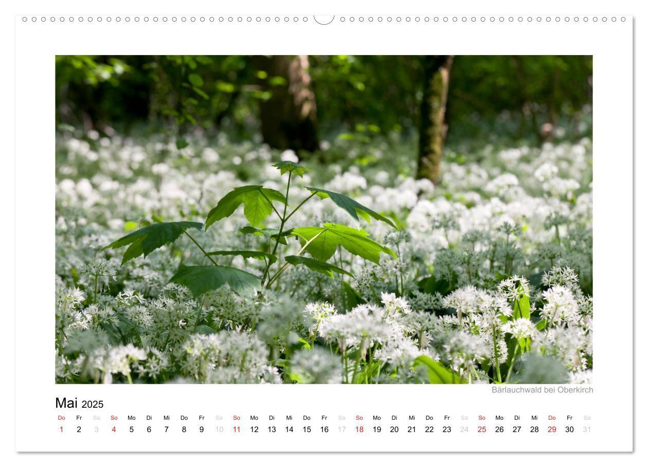 Bild: 9783435817375 | Schwarzwald 2025 (Wandkalender 2025 DIN A2 quer), CALVENDO...