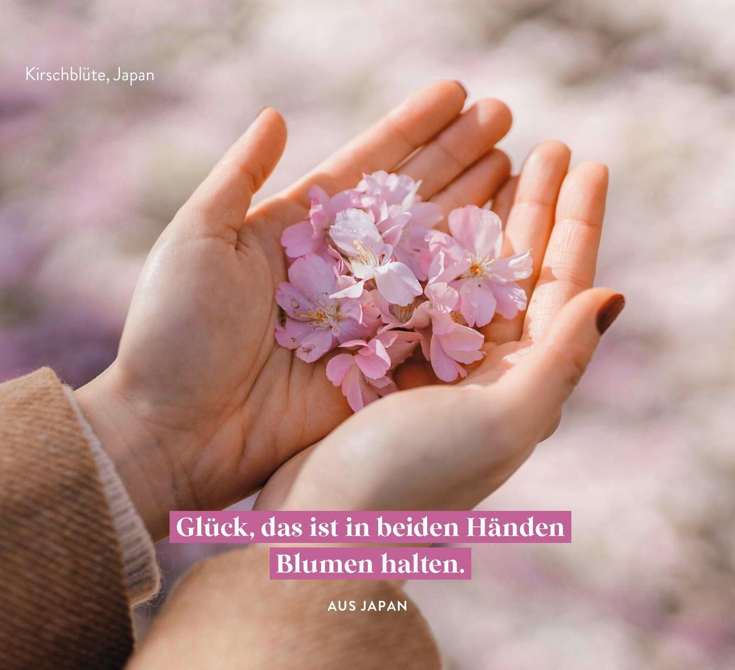 Bild: 9783848501991 | Ein Meer aus Blüten | Kristin Funk | Taschenbuch | 144 S. | Deutsch