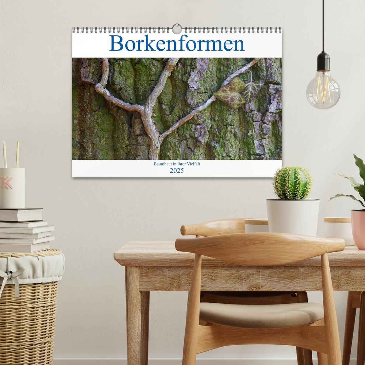 Bild: 9783435089673 | Borkenformen (Wandkalender 2025 DIN A3 quer), CALVENDO Monatskalender