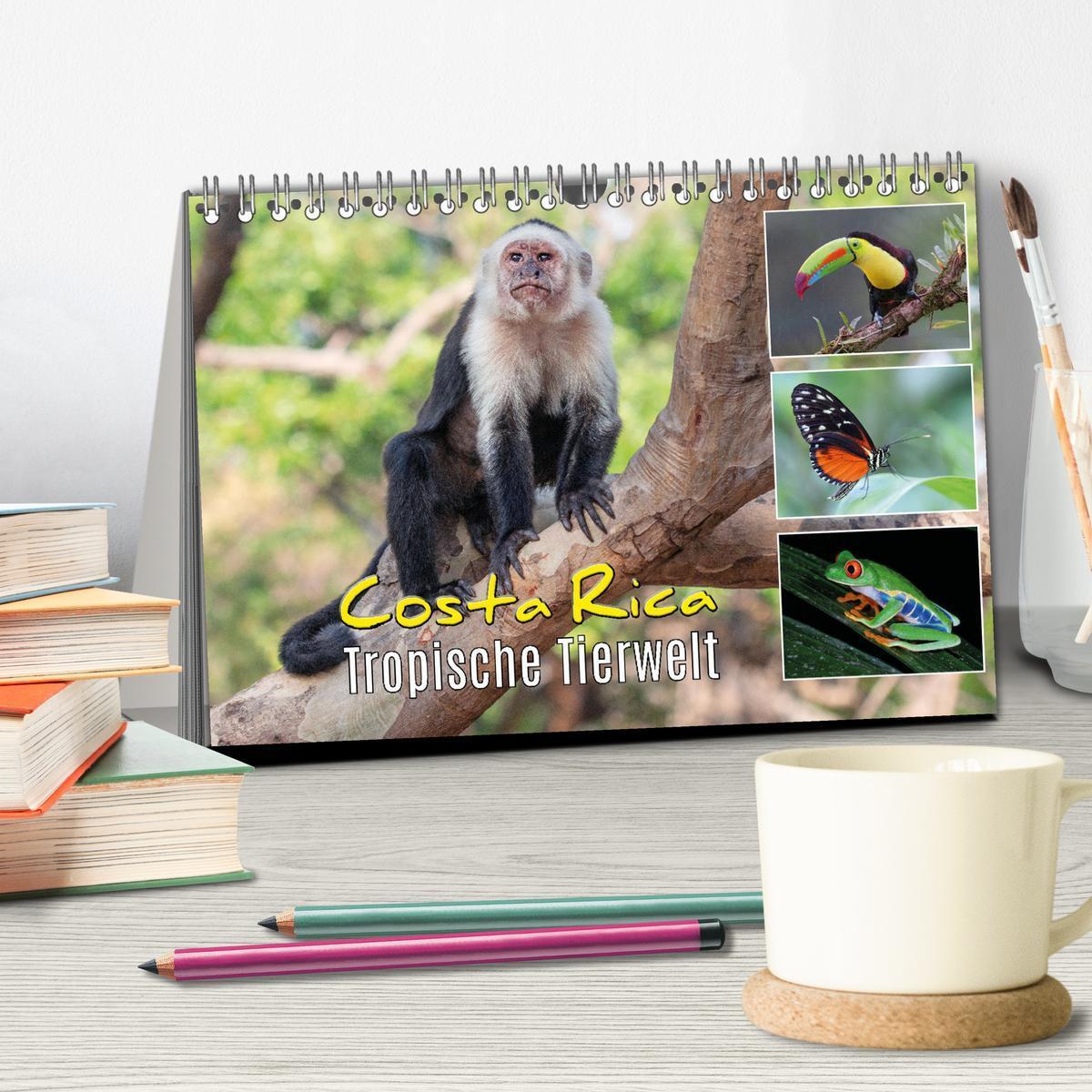 Bild: 9783383977138 | Costa Rica - Tropische Tierwelt (Tischkalender 2025 DIN A5 quer),...