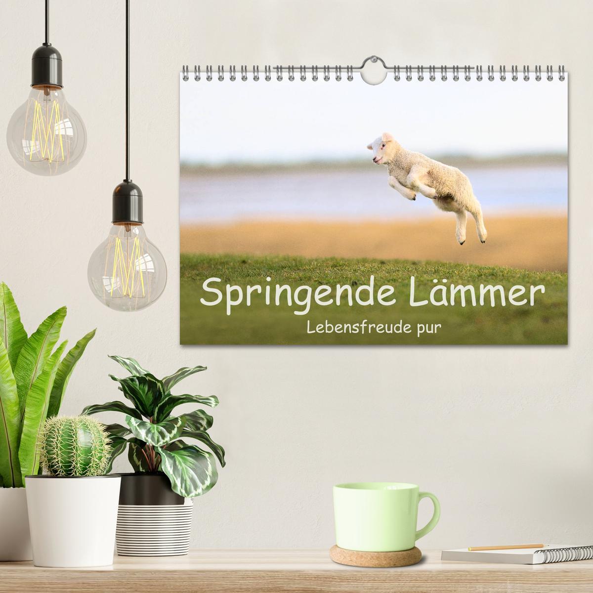 Bild: 9783435227426 | Springende Lämmer: Lebensfreude pur (Wandkalender 2025 DIN A4...