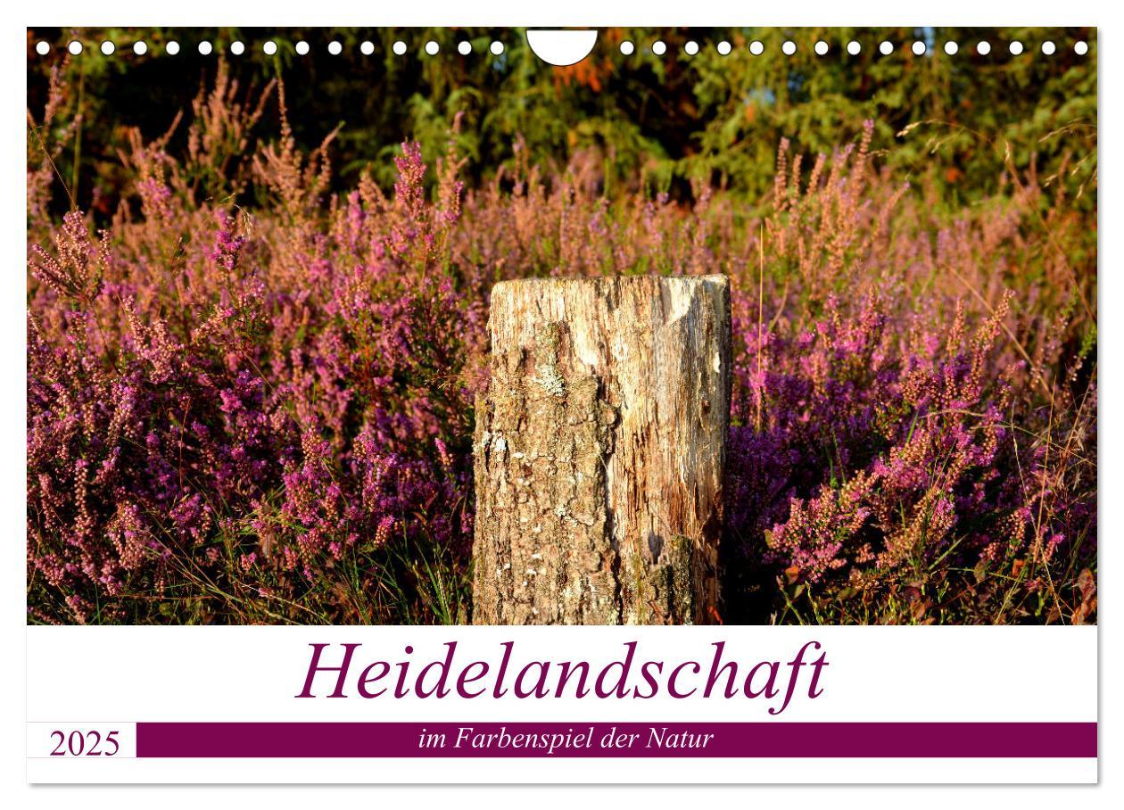 Cover: 9783435070862 | Heidelandschaft im Farbenspiel der Natur (Wandkalender 2025 DIN A4...