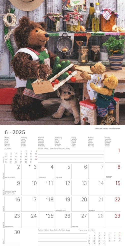 Bild: 4251732340643 | Alpha Edition - Teddy 2025 Broschürenkalender, 30x30cm,...