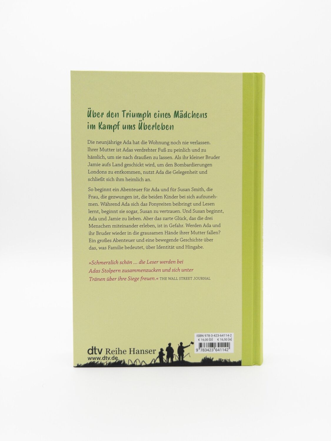 Bild: 9783423641142 | Gras unter meinen Füßen | Kimberly Brubaker Bradley | Buch | 336 S.