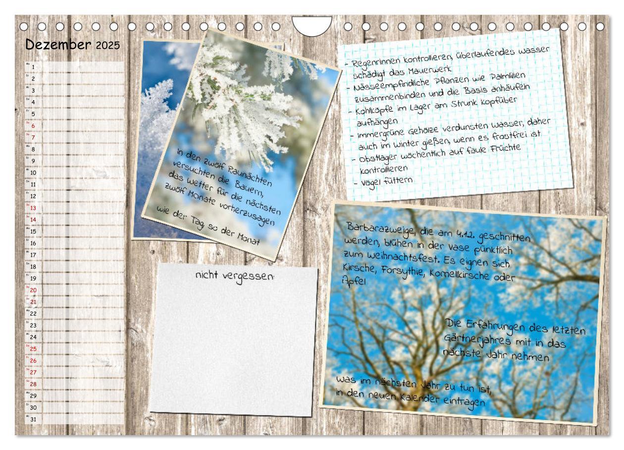 Bild: 9783435133116 | Was ist noch im Garten zu tun? (Wandkalender 2025 DIN A4 quer),...