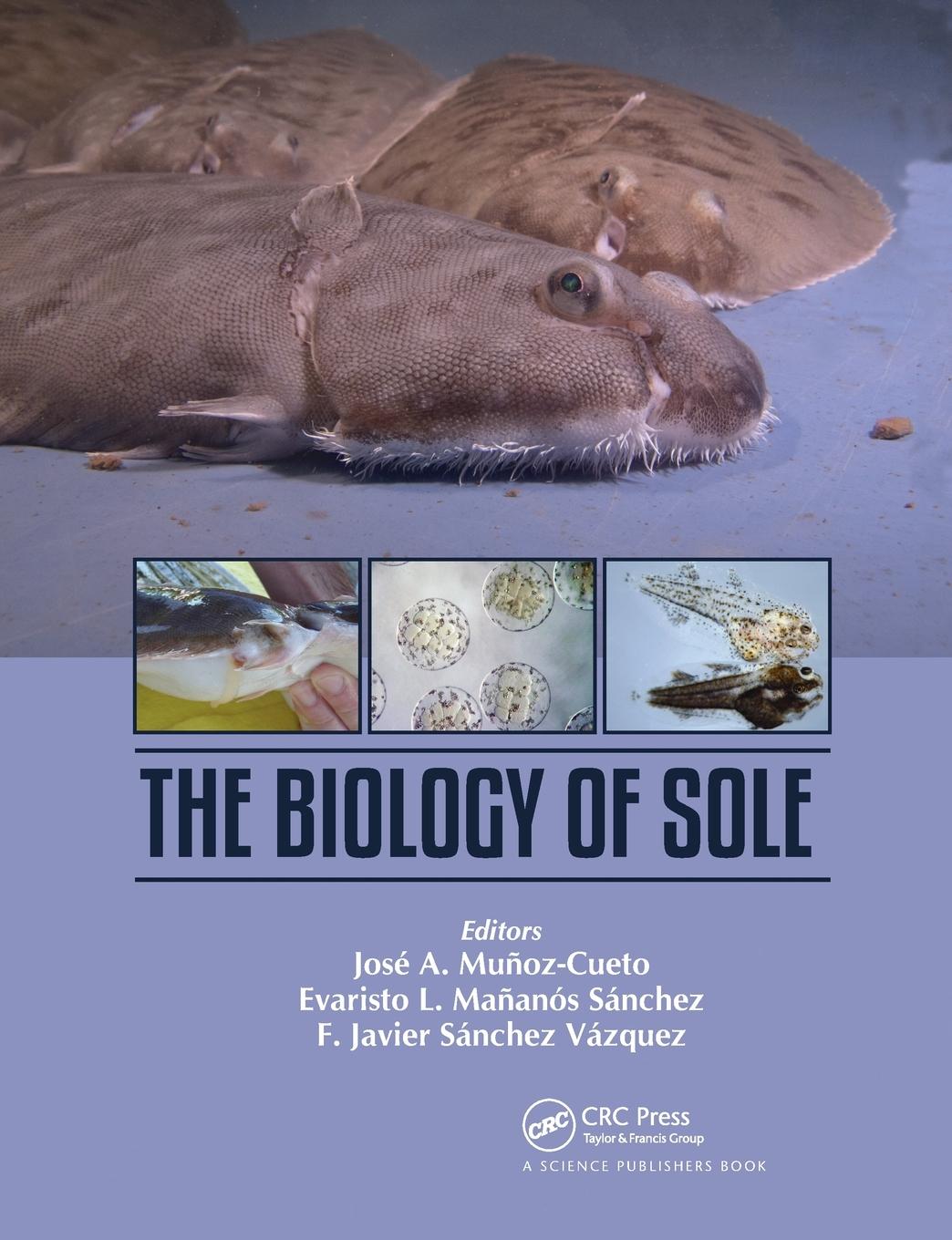 Cover: 9780367779832 | The Biology of Sole | F. Javier Sánchez-Vázquez | Taschenbuch | 2021