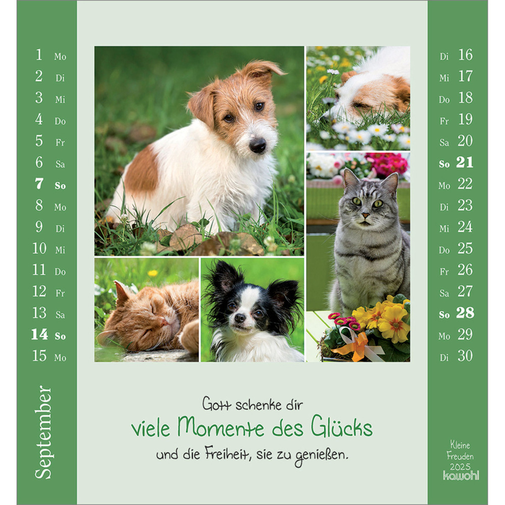 Bild: 9783754881453 | Kleine Freuden 2025 | Aufstell-Kalender mit Bildcollagen | Kalender