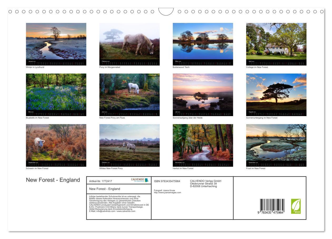 Bild: 9783435475964 | New Forest - England (Wandkalender 2025 DIN A3 quer), CALVENDO...