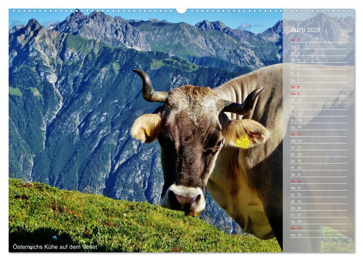 Bild: 9783435793983 | Alpenüberquerung (Wandkalender 2025 DIN A2 quer), CALVENDO...