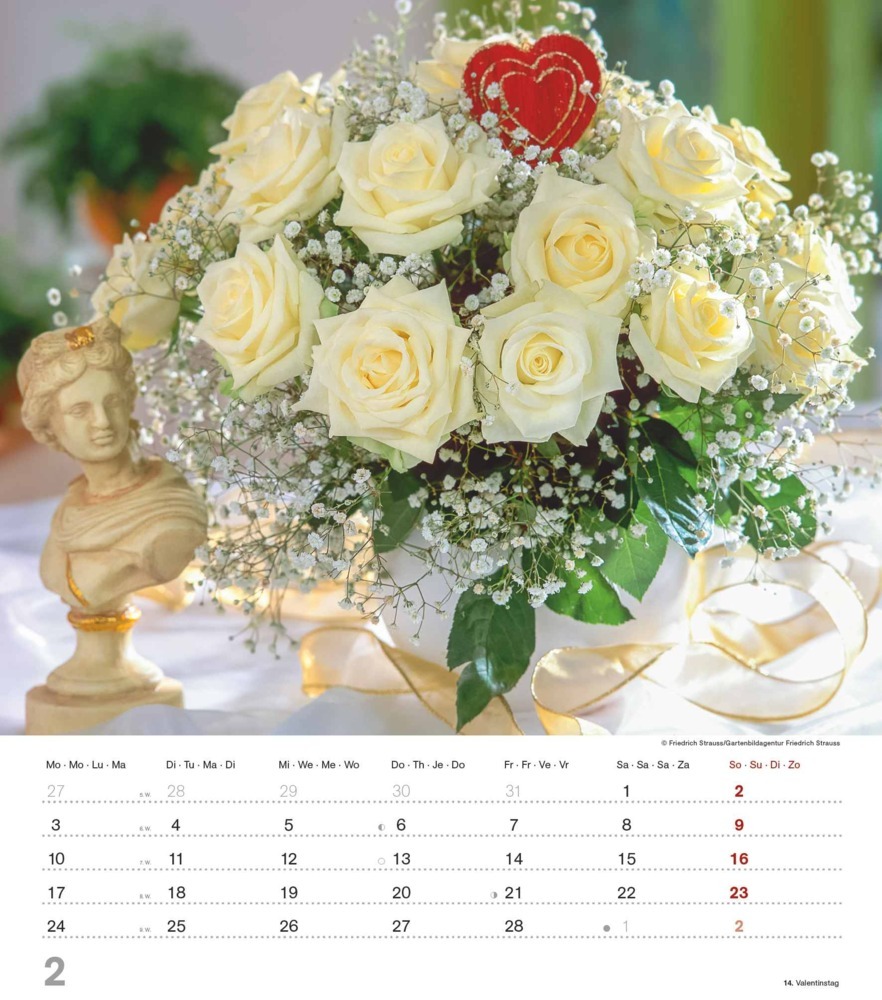 Bild: 4251732342135 | Alpha Edition - Der Duft der Rosen 2025 Bildkalender, 30,x34cm,...